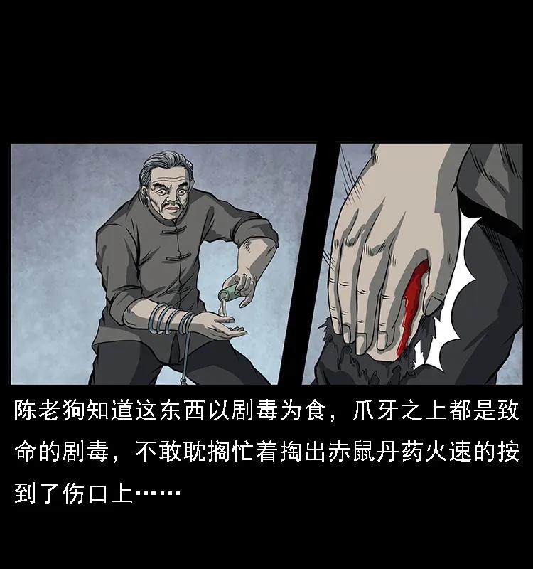 幽冥诡匠 083 鬼面魈 第47页