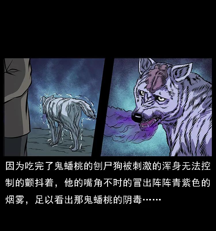 幽冥诡匠 084 刨尸狗的妖化之路 第23页