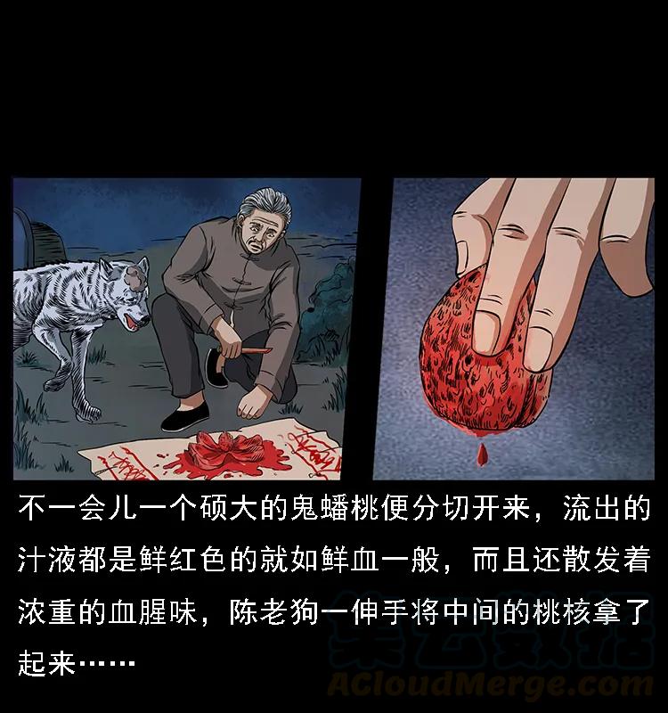 幽冥诡匠 084 刨尸狗的妖化之路 第17页