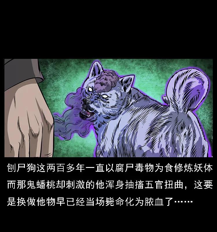 幽冥诡匠 084 刨尸狗的妖化之路 第24页