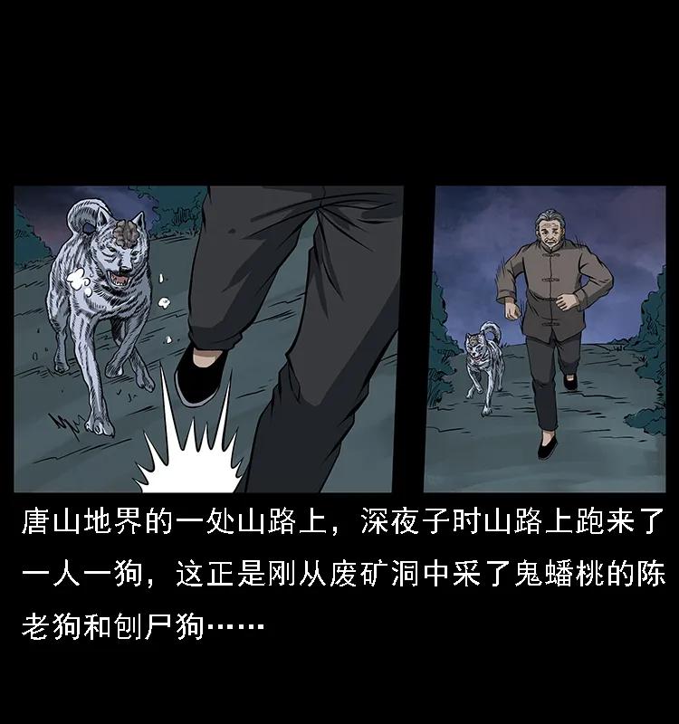 幽冥诡匠 084 刨尸狗的妖化之路 第2页