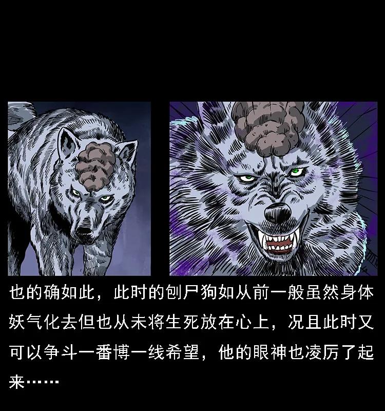 幽冥诡匠 084 刨尸狗的妖化之路 第35页