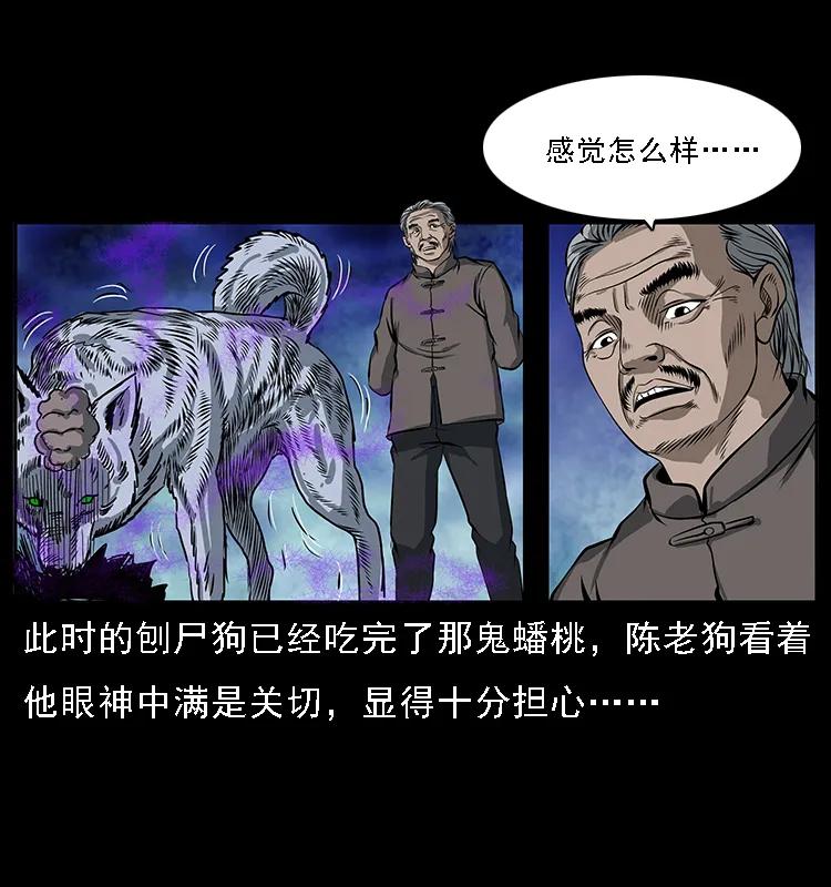 幽冥诡匠 084 刨尸狗的妖化之路 第22页