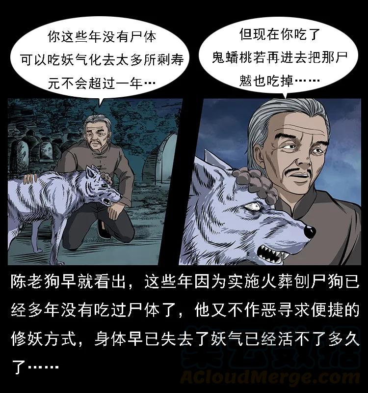 幽冥诡匠 084 刨尸狗的妖化之路 第29页