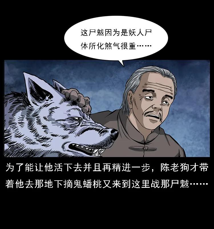 幽冥诡匠 084 刨尸狗的妖化之路 第30页