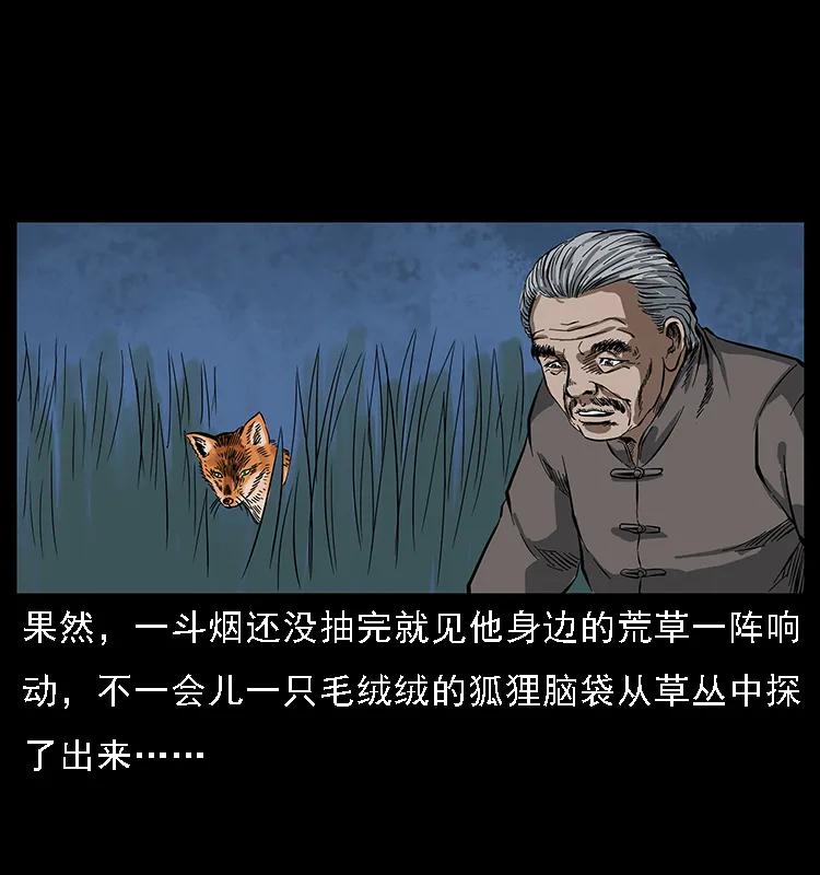 幽冥诡匠 084 刨尸狗的妖化之路 第58页