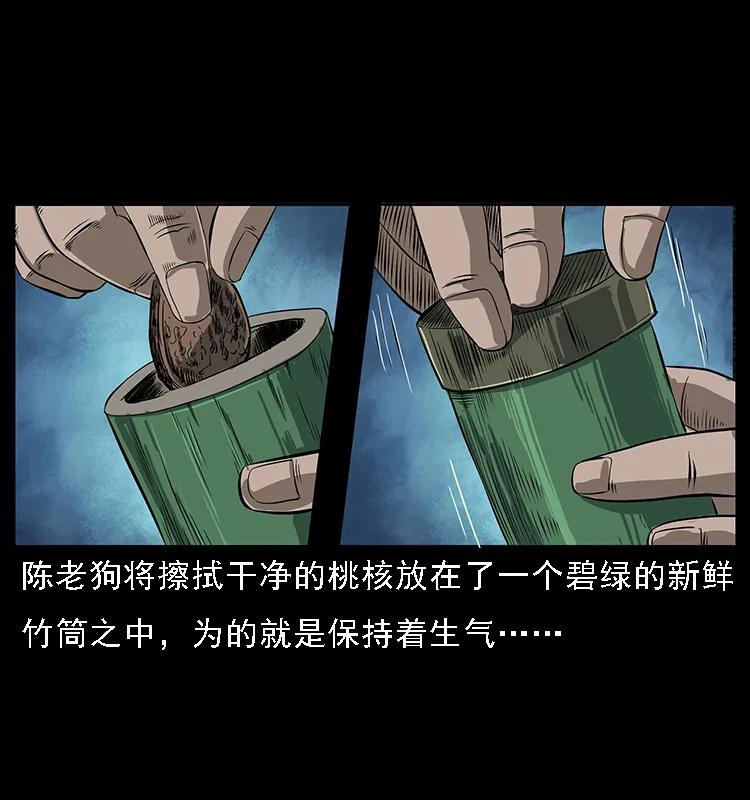 幽冥诡匠 084 刨尸狗的妖化之路 第20页