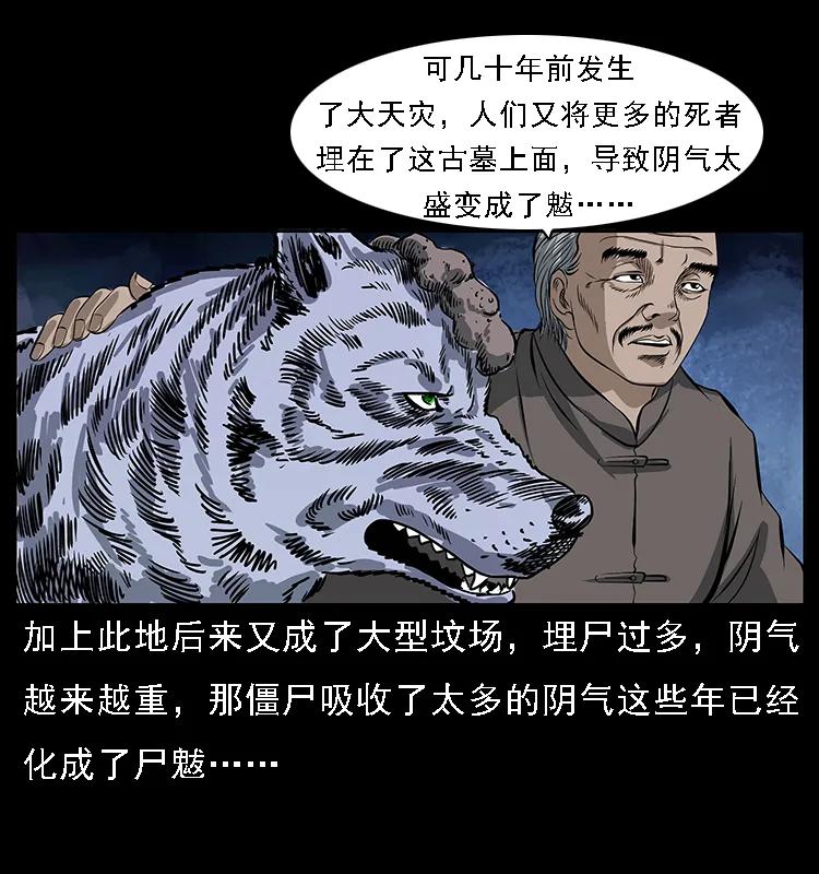幽冥诡匠 084 刨尸狗的妖化之路 第28页