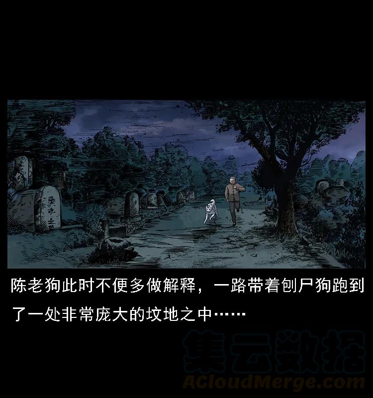 幽冥诡匠 084 刨尸狗的妖化之路 第5页