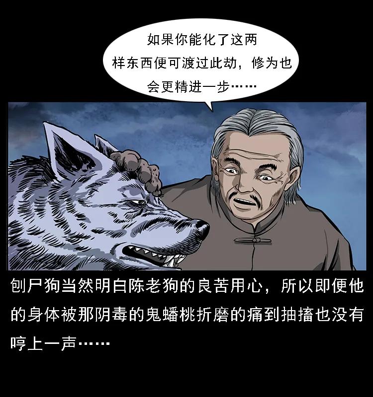 幽冥诡匠 084 刨尸狗的妖化之路 第31页