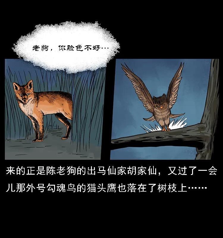 幽冥诡匠 084 刨尸狗的妖化之路 第59页