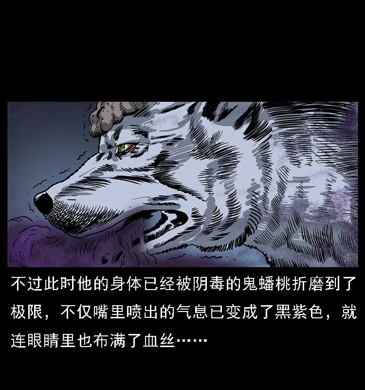 幽冥诡匠 084 刨尸狗的妖化之路 第43页