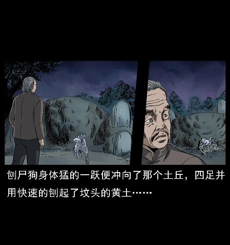 幽冥诡匠 084 刨尸狗的妖化之路 第36页