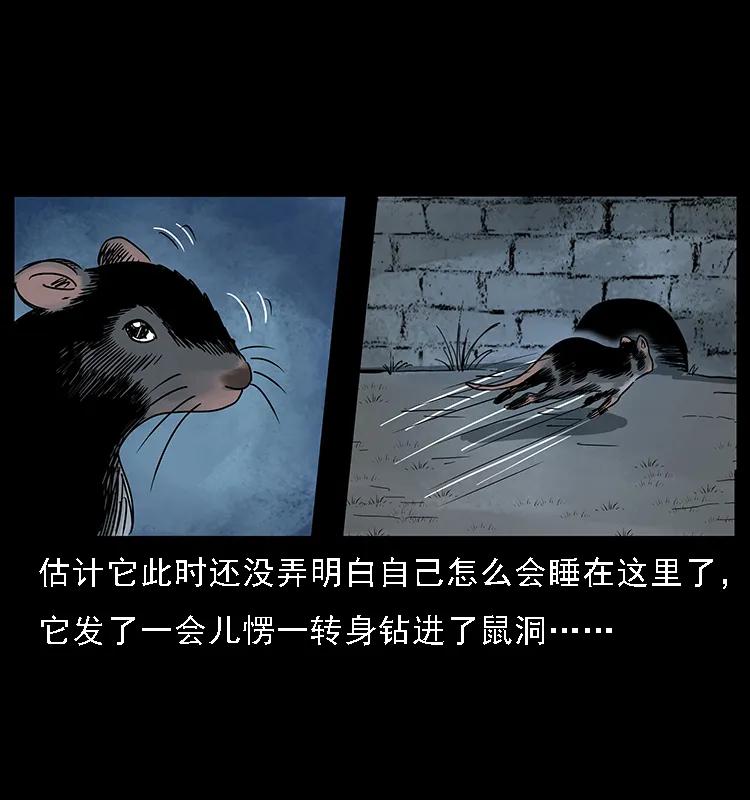 幽冥诡匠 084 刨尸狗的妖化之路 第55页