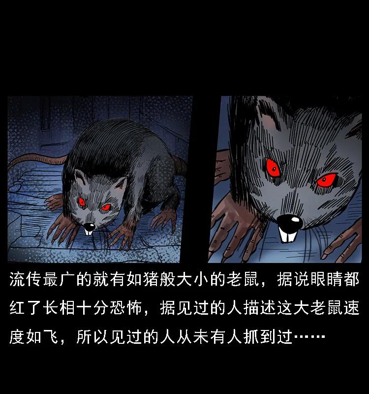 幽冥诡匠 086 冷寒宫冤魂 第11页