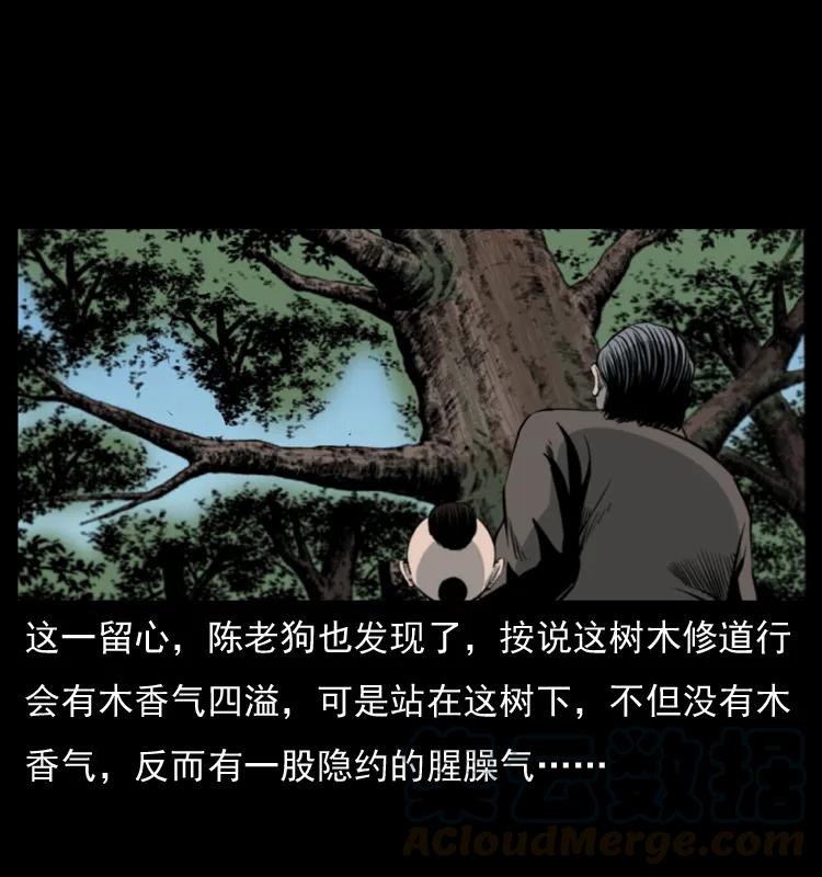 幽冥诡匠 008 槐树下的小庙 第16页