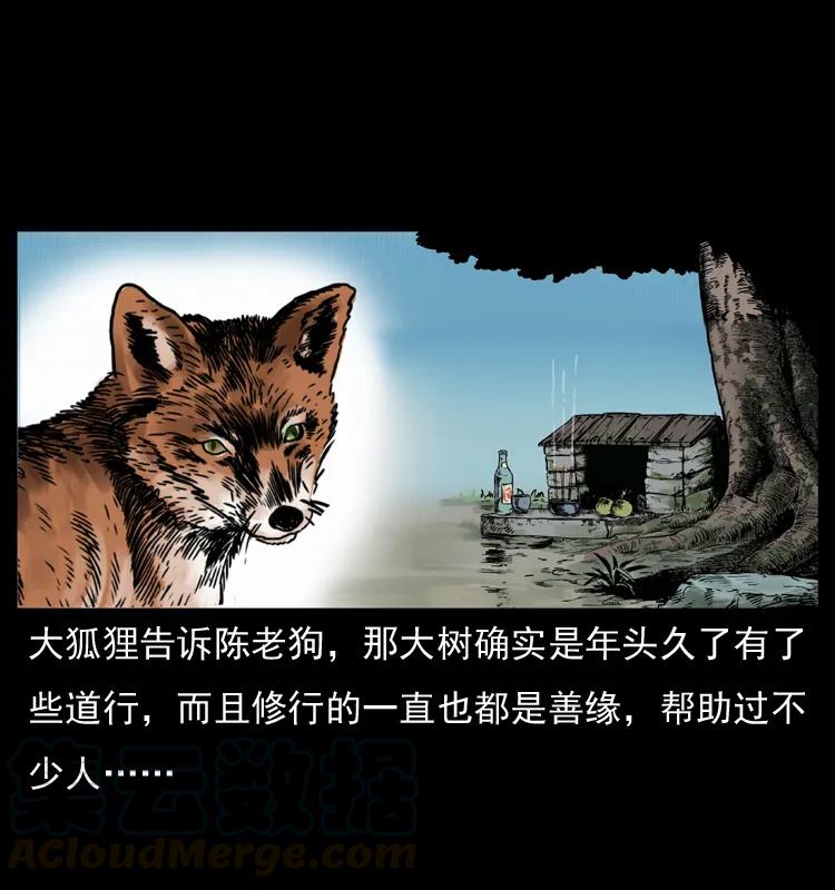 幽冥诡匠 008 槐树下的小庙 第48页