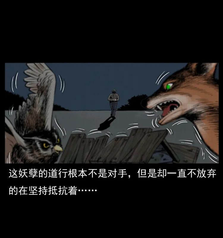 幽冥诡匠 008 槐树下的小庙 第66页
