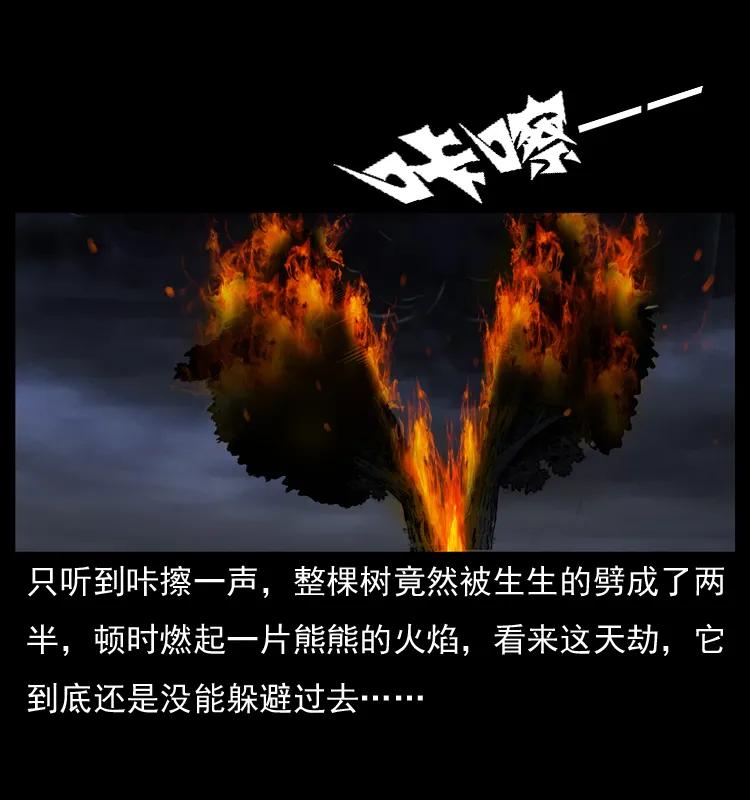 幽冥诡匠 008 槐树下的小庙 第70页