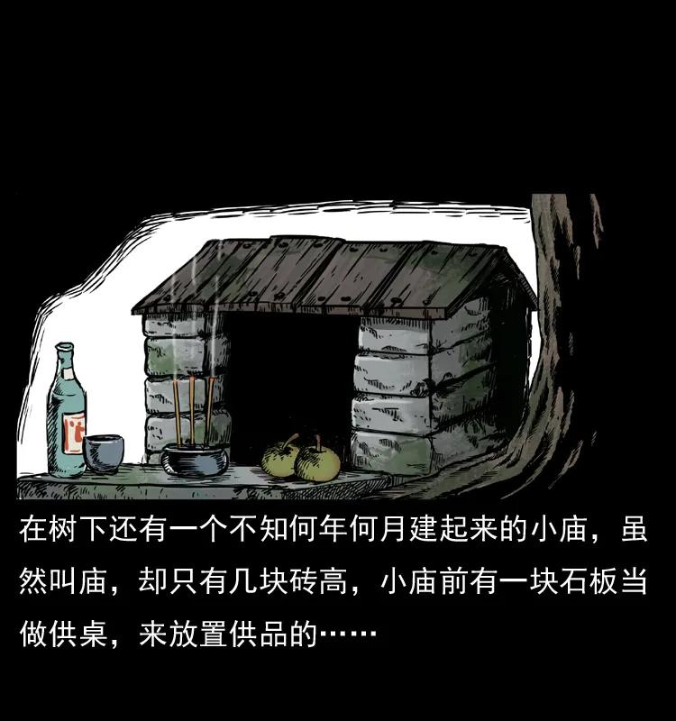 幽冥诡匠 008 槐树下的小庙 第10页