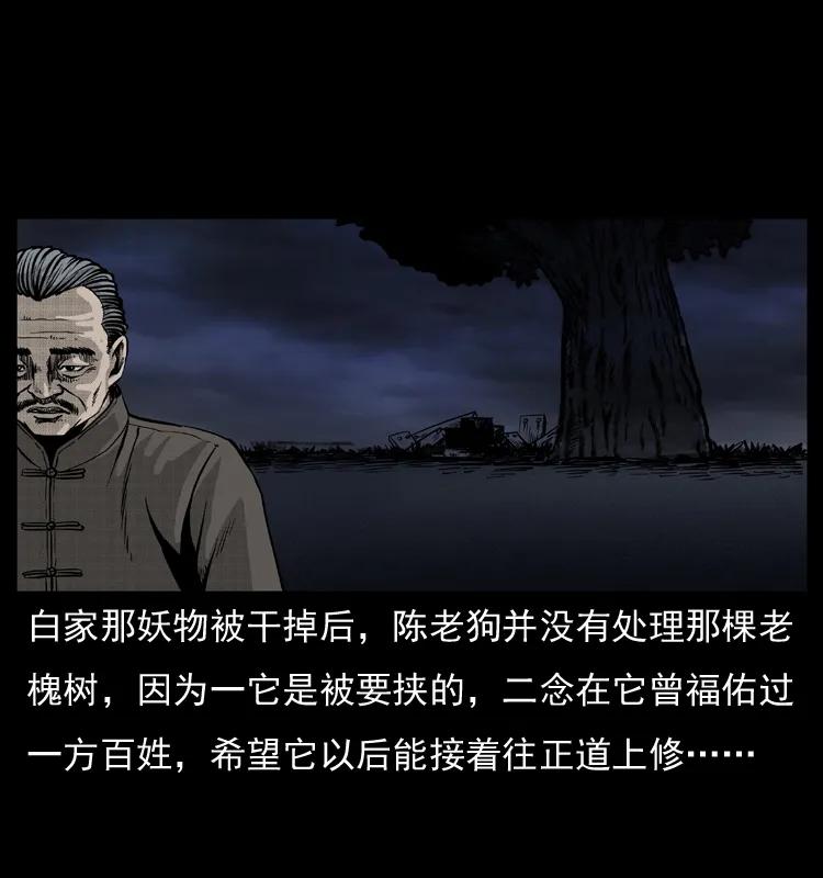 幽冥诡匠 008 槐树下的小庙 第67页