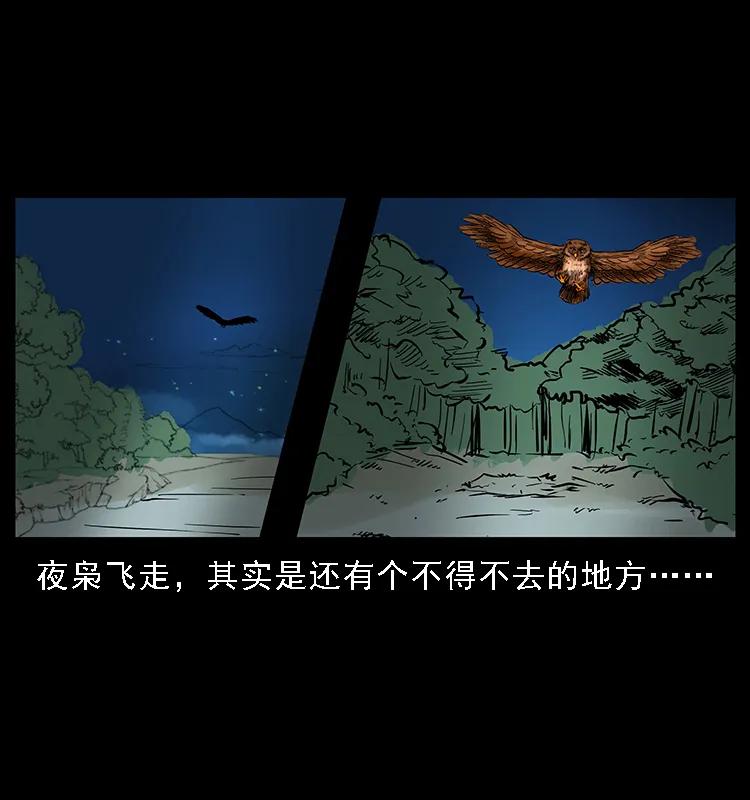 幽冥诡匠 088 勾魂鸟夜枭 第88页