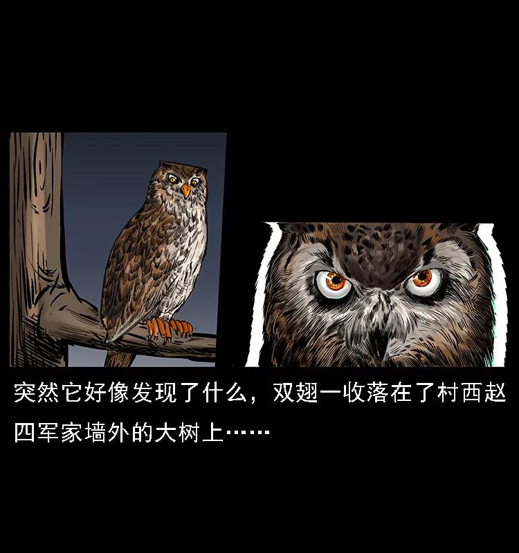幽冥诡匠 088 勾魂鸟夜枭 第3页