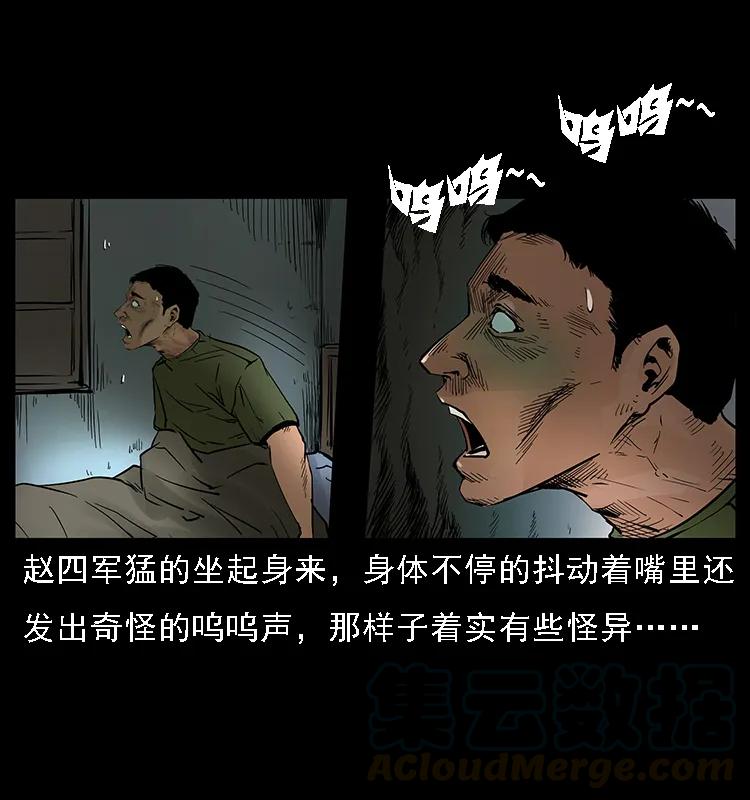 幽冥诡匠 088 勾魂鸟夜枭 第13页