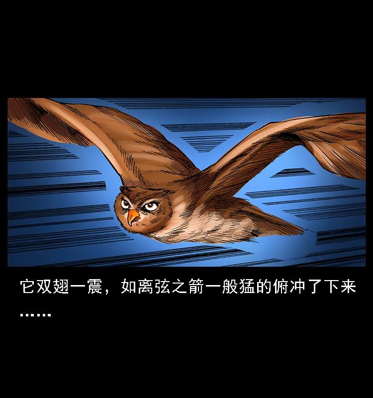 幽冥诡匠 088 勾魂鸟夜枭 第26页