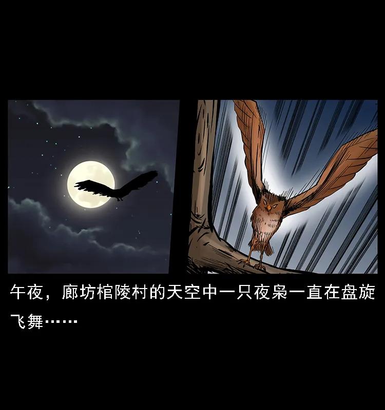 幽冥诡匠 088 勾魂鸟夜枭 第2页