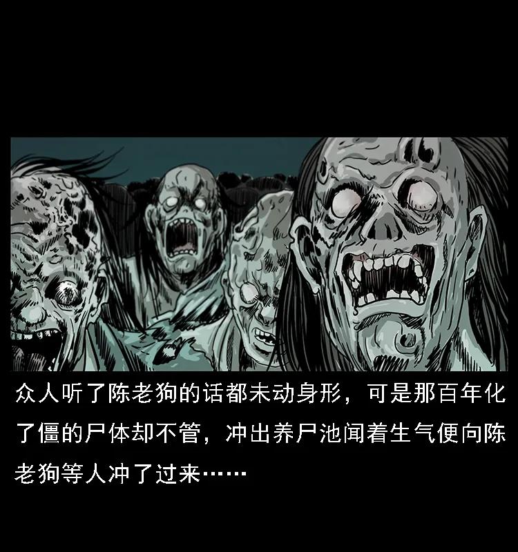 幽冥诡匠 090 引魂大阵 第46页