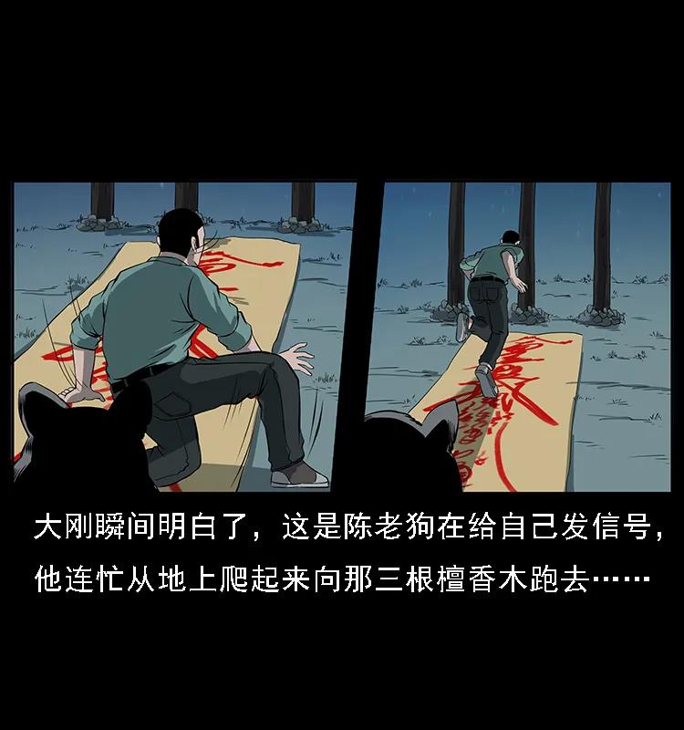 幽冥诡匠 090 引魂大阵 第54页