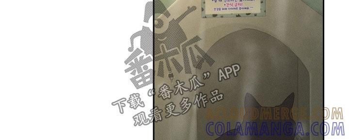 《我的救世主》第109章：【第二季】为什么都失去了 第37页