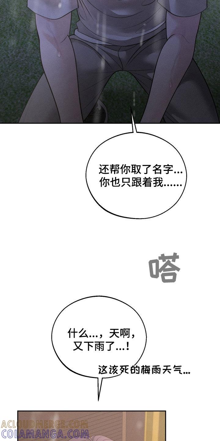 《我的救世主》第109章：【第二季】为什么都失去了 第35页