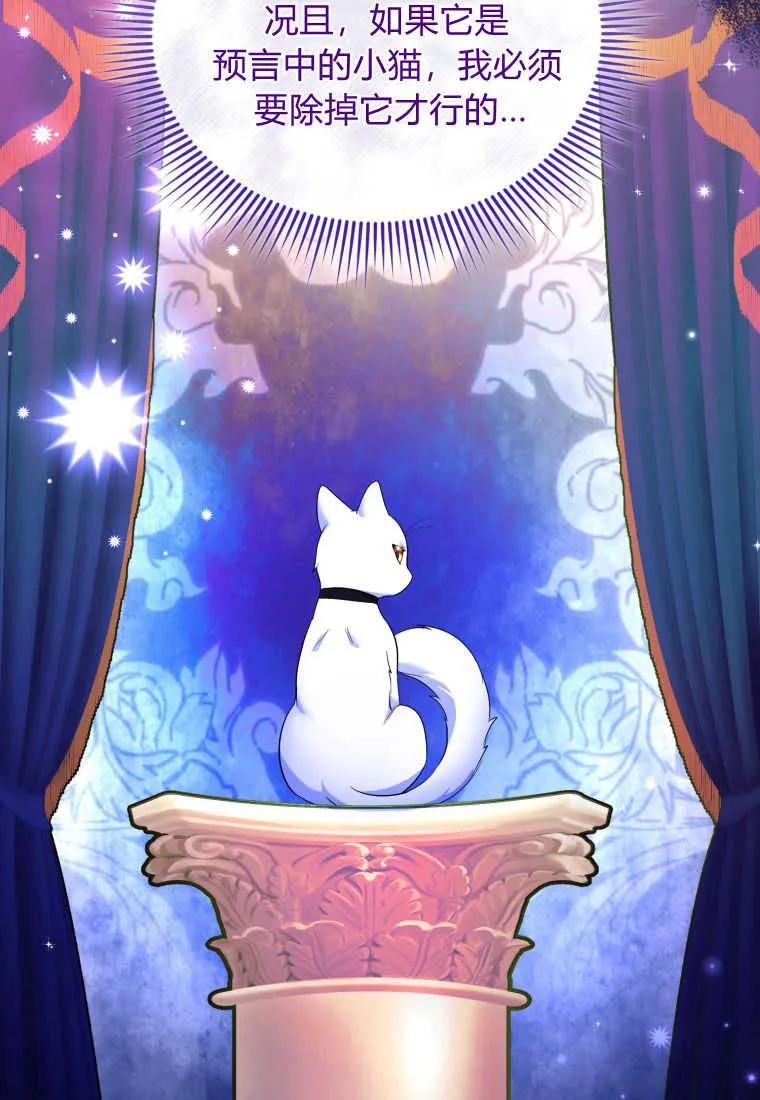 成为苏尔坦珍爱的猫咪 第23话 第43页