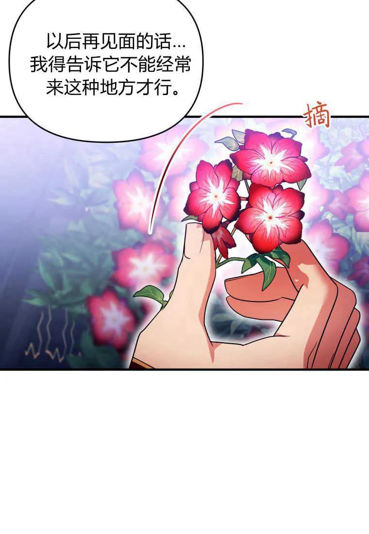 成为苏尔坦珍爱的猫咪 第23话 第40页