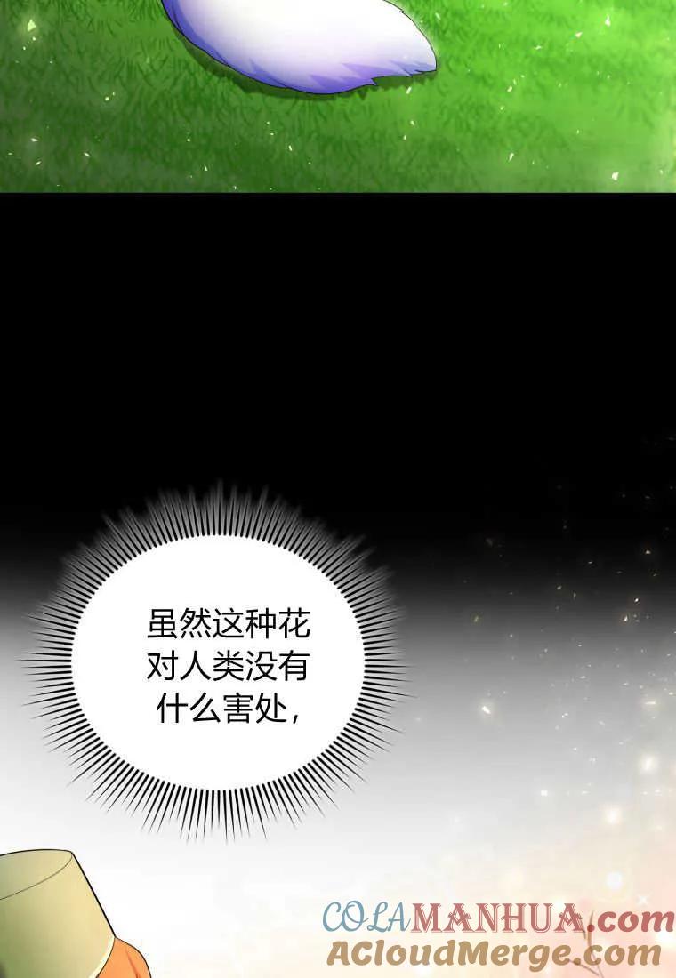 成为苏尔坦珍爱的猫咪 第23话 第37页