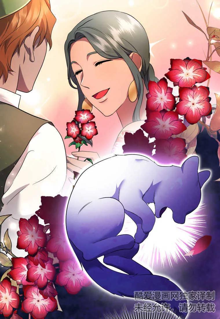成为苏尔坦珍爱的猫咪 第23话 第38页
