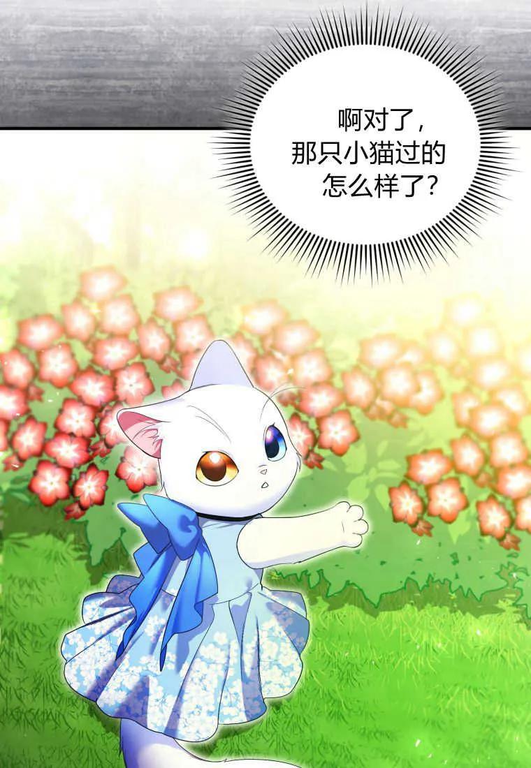 成为苏尔坦珍爱的猫咪 第23话 第36页