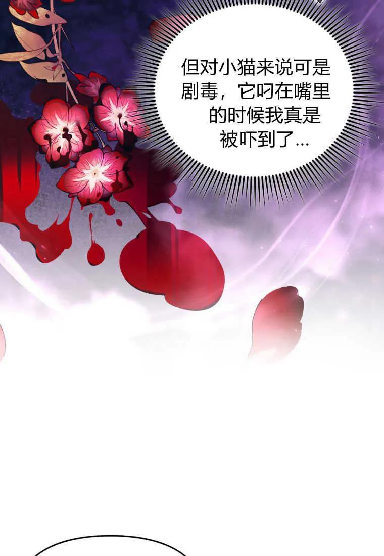 成为苏尔坦珍爱的猫咪 第23话 第39页