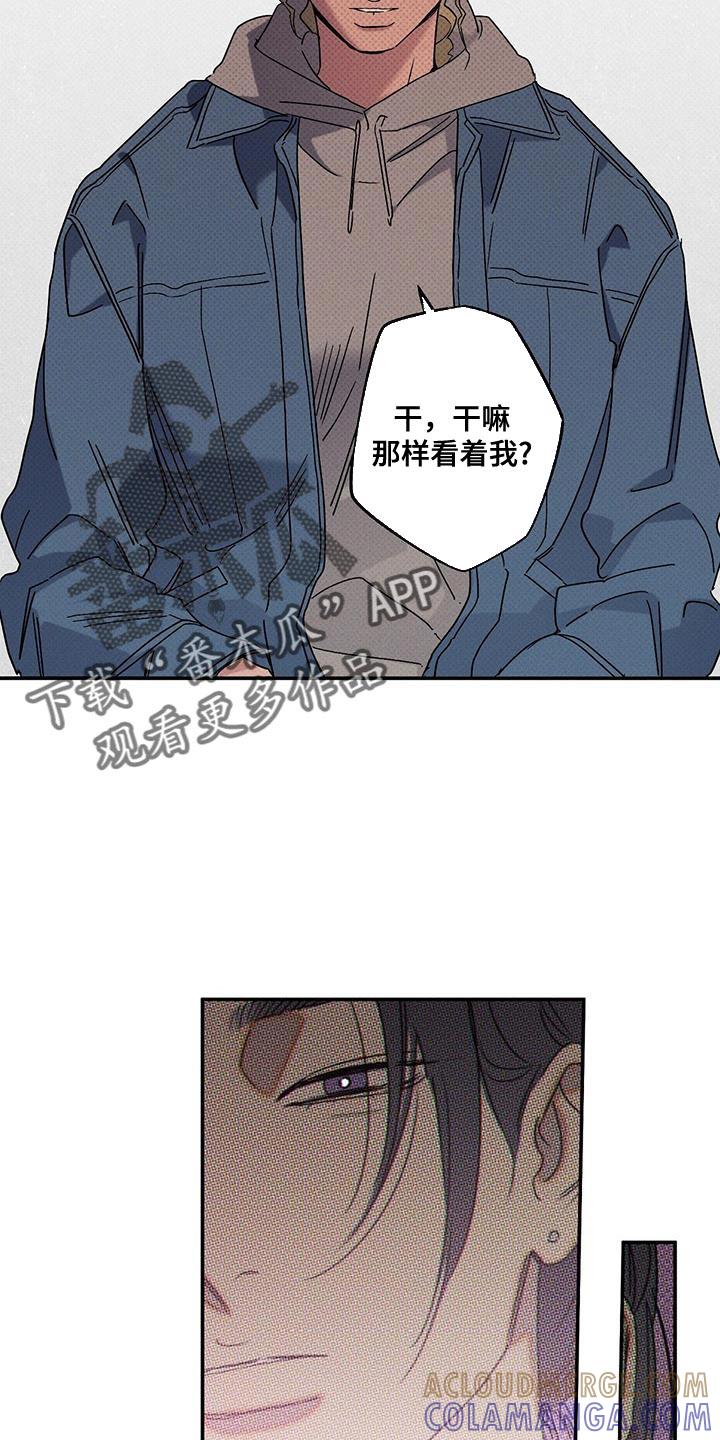 《狂沙肆虐》第93章：【第二季】你根本无法确认！ 第17页