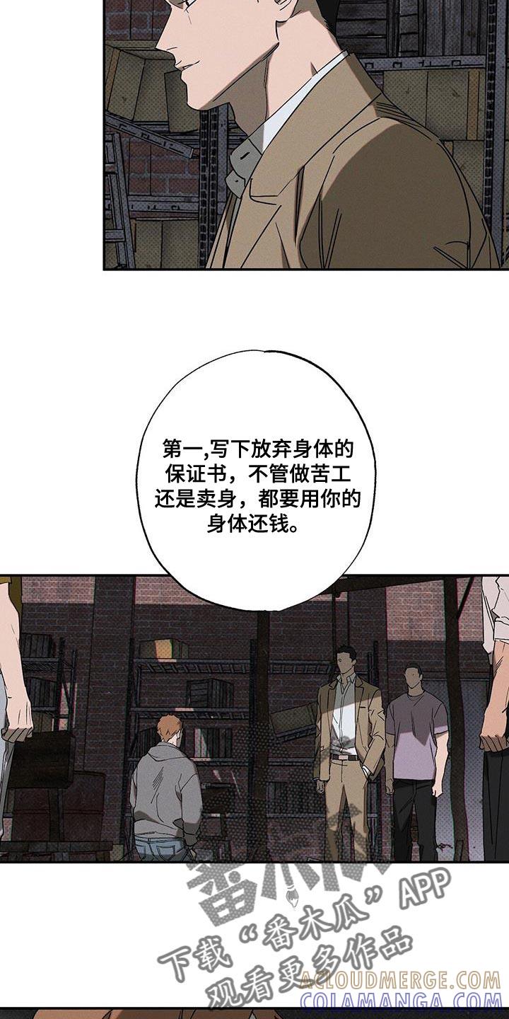 《狂沙肆虐》第96章：【第二季】杂念好像都消失了 第19页