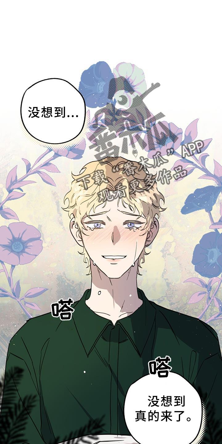 《游戏梦想世界》第15章：精灵 第14页