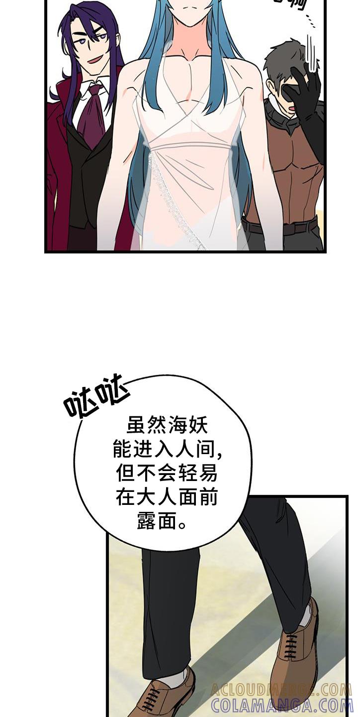 《游戏梦想世界》第15章：精灵 第5页