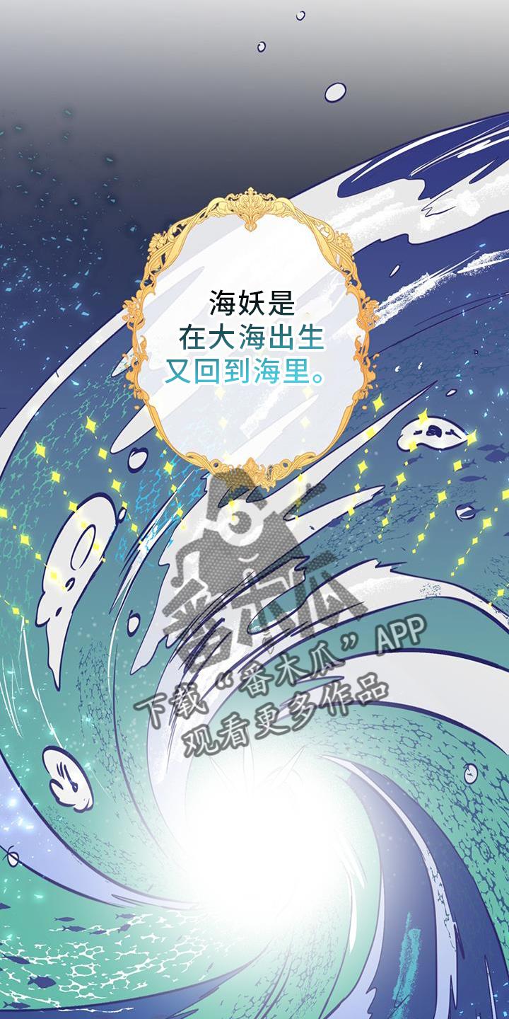 《游戏梦想世界》第15章：精灵 第2页