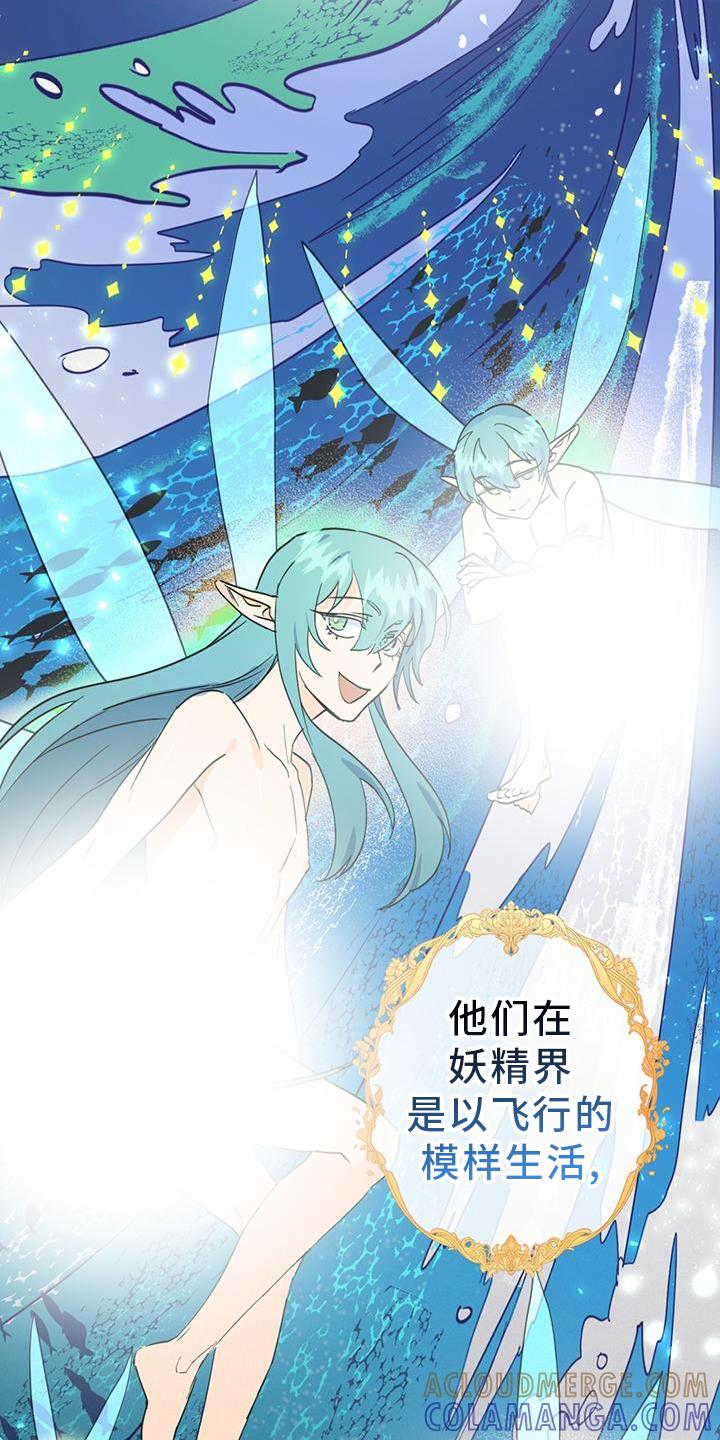 《游戏梦想世界》第15章：精灵 第3页