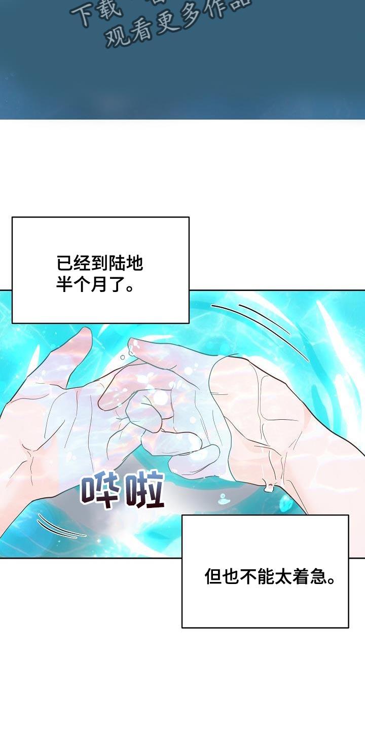 《陆地灵药》第30章：你怎么在这里 第16页