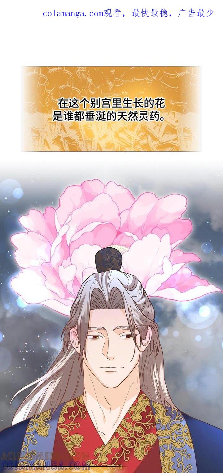 《陆地灵药》第30章：你怎么在这里 第1页