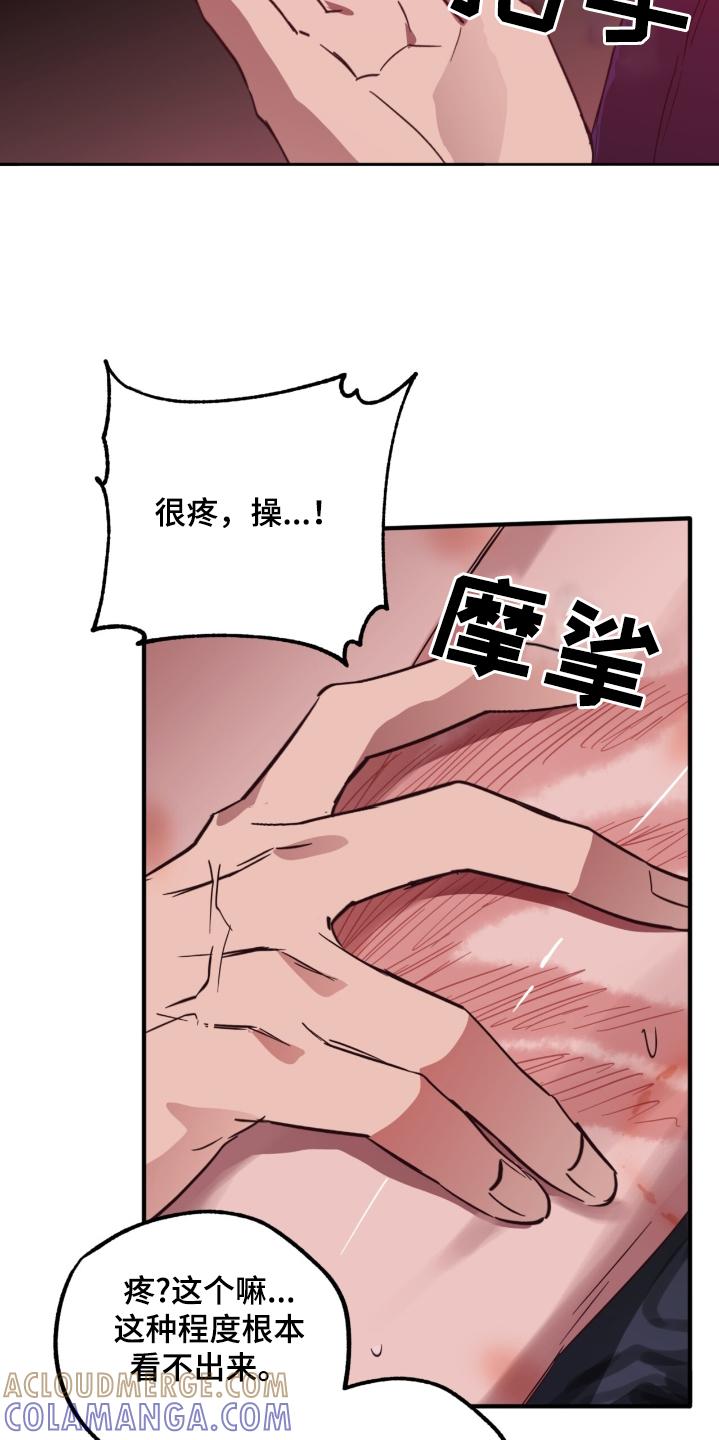 《游戏梦想世界》第33章：很疼 第3页