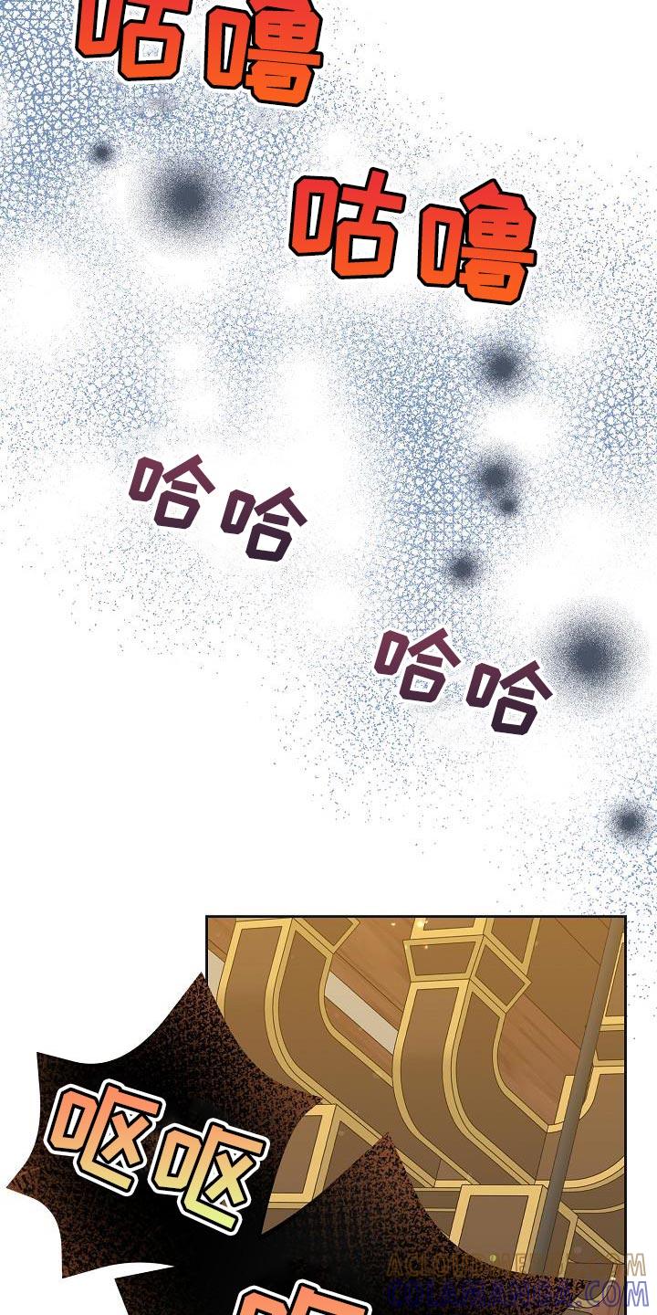 《陆地灵药》第35章：谁派来的 第29页